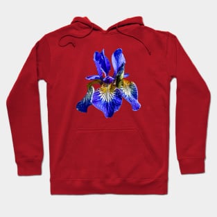 Purple Iris flower Hoodie